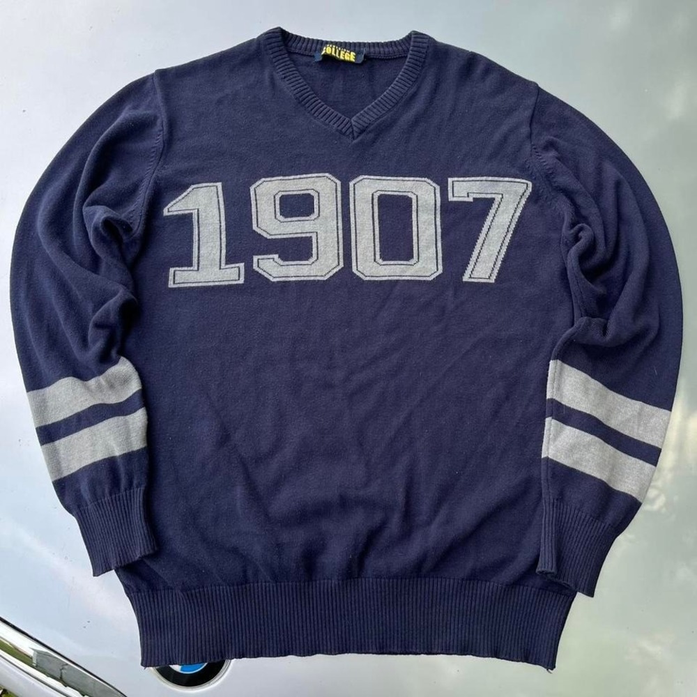Fenerium College Turkish football/soccer V neck sweater